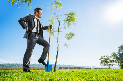 Entrepreneur plantant un arbre dans une plaine