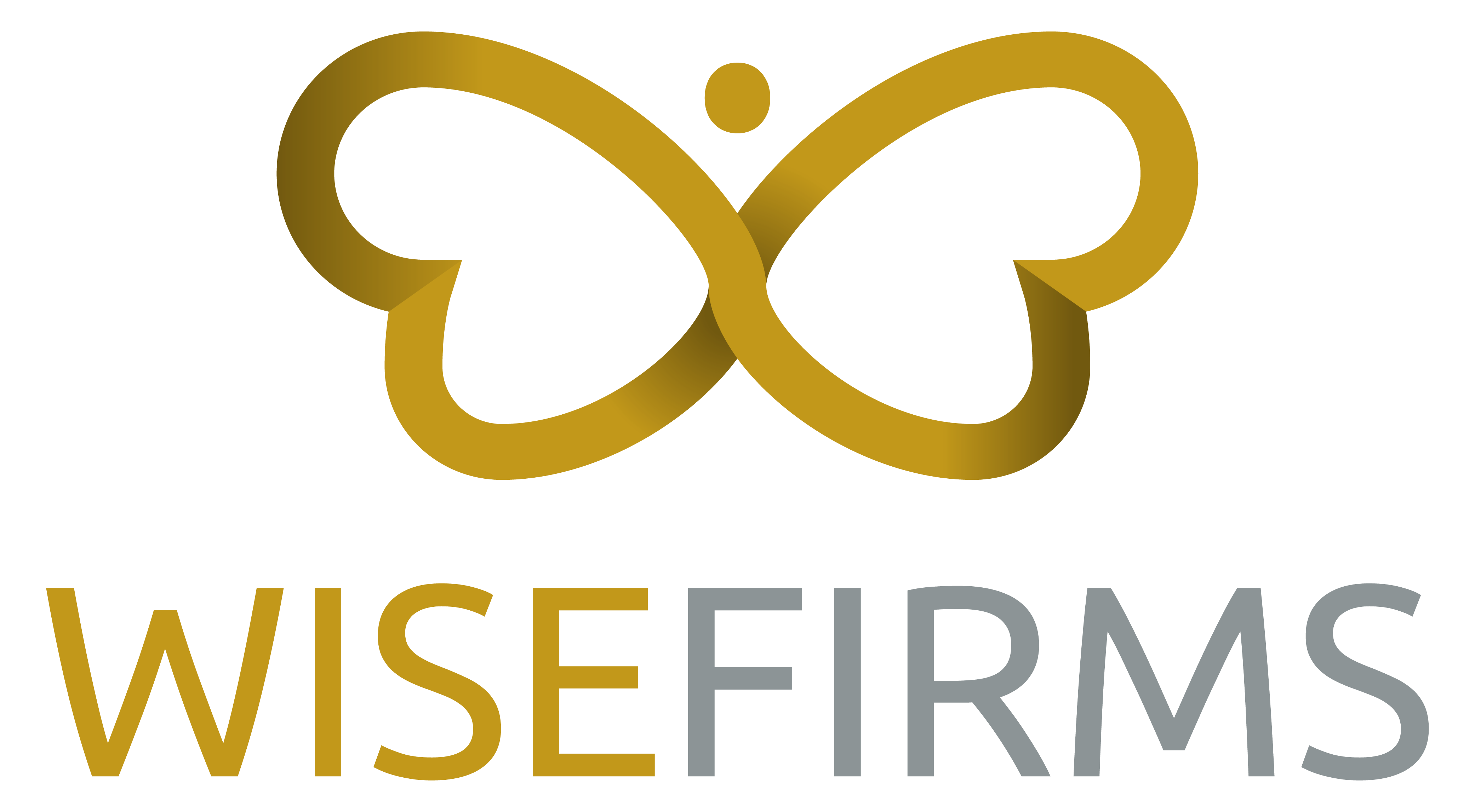 wisefirms logo